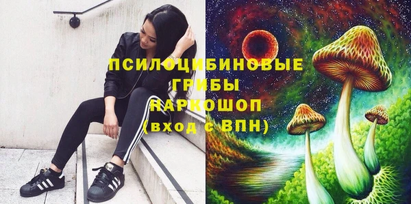 дживик Козельск